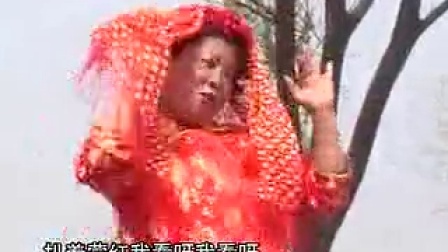 民间小调《傻妮出嫁》1-6集.