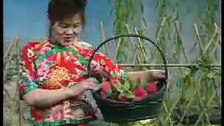 《摘石榴》徐善云民间小调