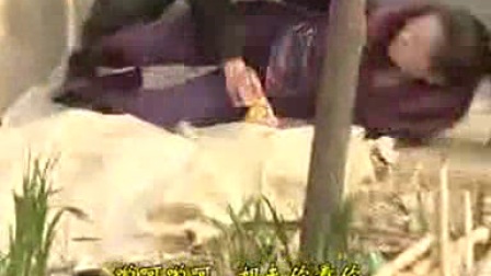 民间小调<姐夫小姨爬墙头>全集