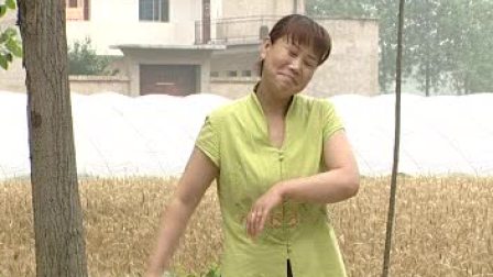 民间小调《公婆泪》2