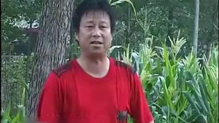 民间小调《小姨子拜堂姐夫入房》 上集