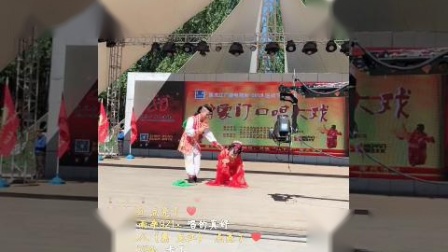 二人转正戏 《六月雪》下部 温萍 王玲下载