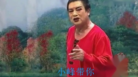 《双锁山·见面》小豆豆二人转 男演员字正腔圆下载