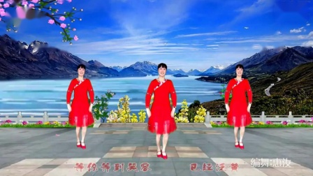 惠汝广场舞《 海鸥飞》