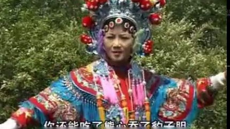 扬琴戏《八美图》第4部8