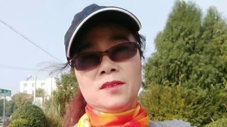 舞灵美娜子广场舞  曳步舞《 奔跑步练习》