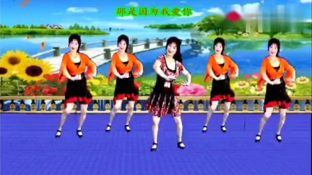 吕芳广场舞《因为我爱你》正背面家分解动作