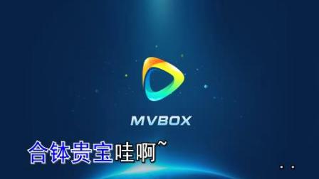 二人转 《白蛇传》 七岁红 陈小飞演唱