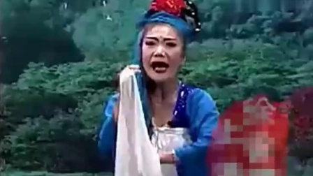 二人转正戏《夜宿华亭张美英诉苦》李小光 