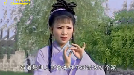 安徽庐剧《文香扇》落难女子无路投 朝廷大