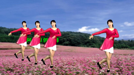阿采广场舞《荞麦花》优美32步看到你醉 火