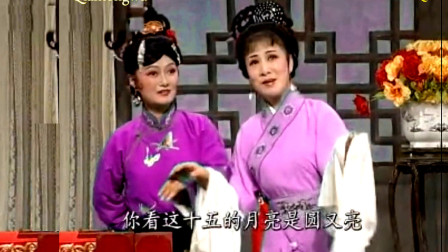 庐剧《珍珠衫》选段 自那日我与姐姐相遇在