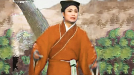 安徽庐剧《王小过年》每日在外游西荡 30晚