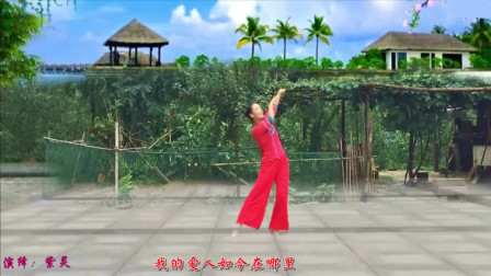 云裳广场舞《你是我情不自禁的牵挂》紫灵串