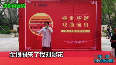 豫剧《小白鞋说媒》之《树上的鸟儿叫喳喳》