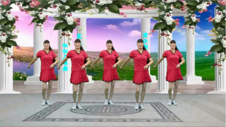 广场舞《花儿哪有阿妹俏》动感摆夸32步好听