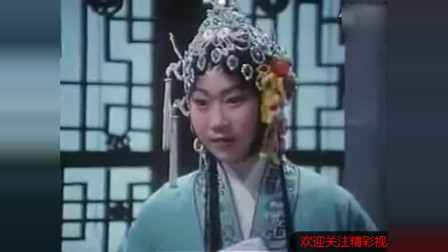 豫剧《三请樊梨花》一段走心的哭灵 太经典