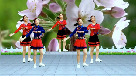 广场舞《吉祥欢歌》精选藏族舞附教学
