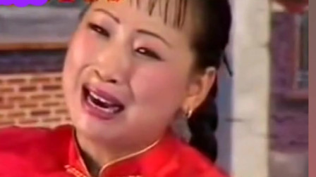 河南坠子《孩子就怕没亲娘》胡中花 名家名