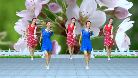 广场舞《错的是你伤的是我》附教学