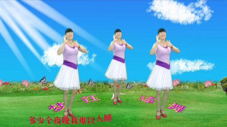 广场舞《天蓬大元帅》32步附教学