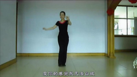 云裳广场舞《思密达》云裳老师背面演示教学