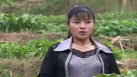 民间小调《三个光棍》石榴开花叶子青 不见