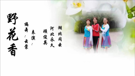 云裳广场舞《野花香》云裳老师原创网红歌曲