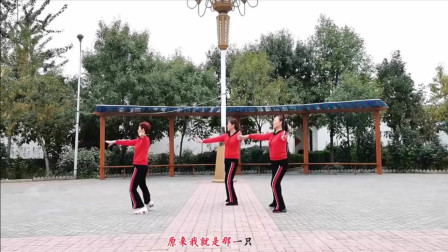 云裳广场舞《酒醉的蝴蝶》云裳老师零基础大