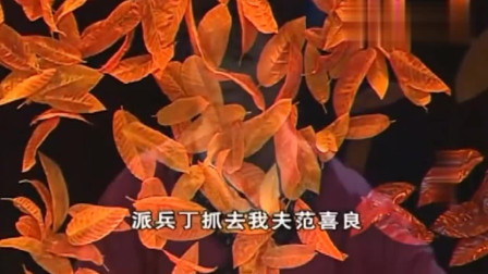 二人转《千里送寒衣》闫学晶唱得太好了 有