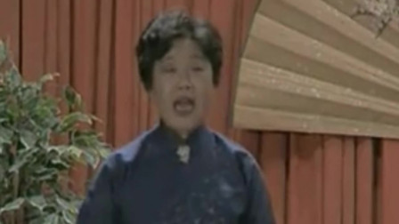《汾河湾》魏文华 魏文亮相声大全 让观众笑