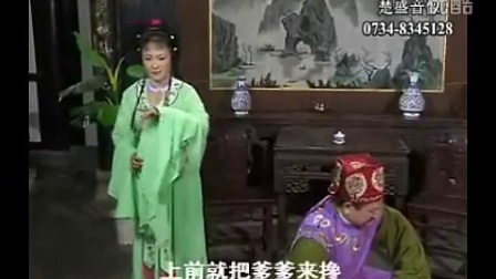 湖南地方戏曲湖南花鼓戏《傻子孝母》全剧