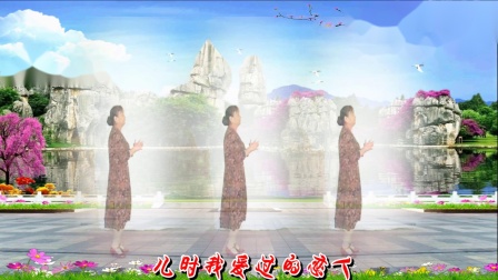 凤之韵 广场舞《红枣树》编舞 惠汝