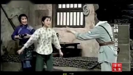 吕剧电影 《苦菜花 》全集  郎咸芬下载