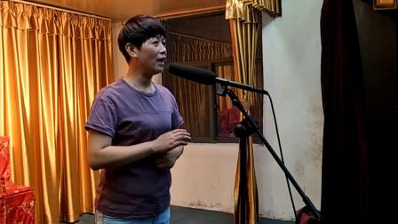汉剧《平原作战》片段 演唱 文红卫 谢敏