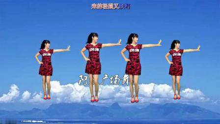 阿采广场舞《酒醉的蝴蝶》网红32步单人水兵