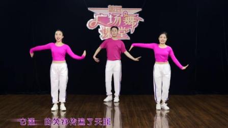 糖豆广场舞课堂《蒙古之花》