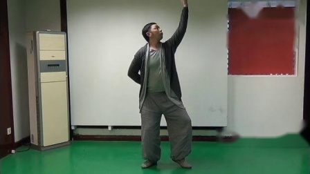 易筋经洗髓经十二式动作示范 高清动作分解