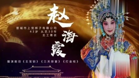 上党梆子《大登殿》选段 赵海霞下载