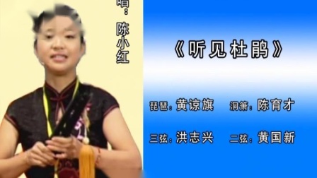 安海雅颂南音社《听见杜鹃》陈小红