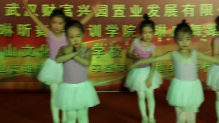 幼儿舞蹈《爱睡觉的加菲猫》武汉 琳昕舞蹈