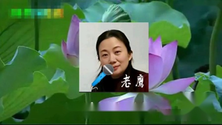 莆仙戏《风吹柳絮》