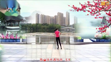 青儿广场舞 《有一种情叫相逢恨晚》 背面