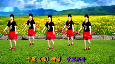 吕芳广场舞《在希望的田野上》 老歌好学舞下载