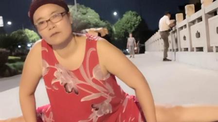 舞灵美娜子广场舞  《劈叉加扇蝴蝶》下载