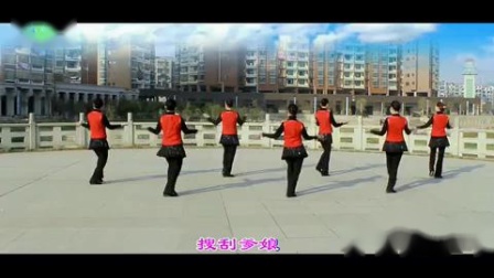 高安子君广场舞《我有一个梦想》（附背面演示