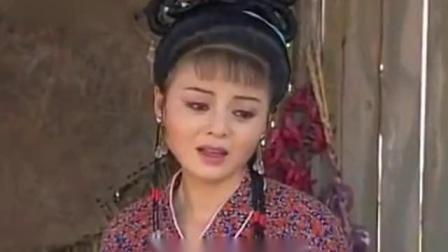 黄梅戏《老丈母告女婿》娘亲与儿把头梳