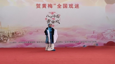 黄梅戏《双插柳》选段（万水千山将你寻）表演者