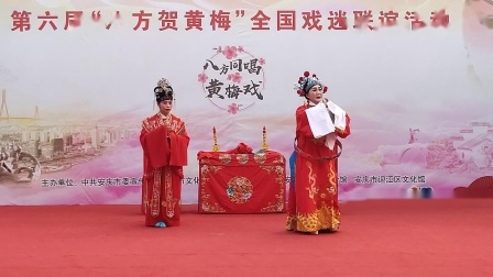 黄梅戏《女驸马》选场（洞房）表演者 袁江荣  严梅下载