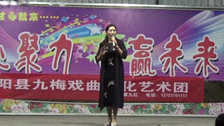 豫剧《香魂女》演唱者 杨丽萍 濮阳县九梅戏曲文化艺术团下载